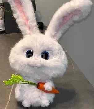 bán nhanh gọn lẹ. Mua bán Phụ kiện thời trang khác tại Huyện Hòa Thành Tây Ninh được đăng bởi phan nhật duy  hình 1