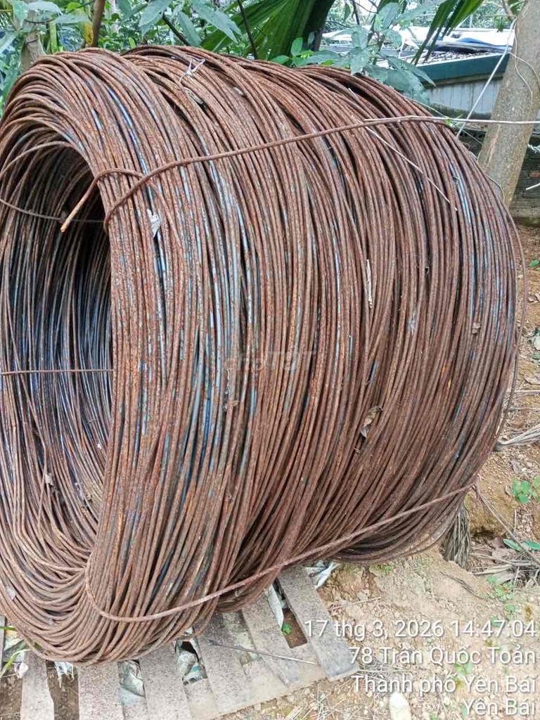 Thép cuộn Việt Đức D6, D8. Mua bán Đồ chuyên dụng, Giống nuôi trồng tại Thành phố Yên Bái Yên Bái được đăng bởi Cao Thang Nguyen hình 1