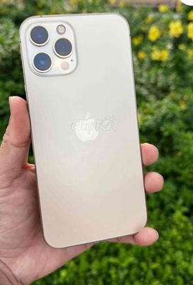 Apple iPhone 12 Pro Max Vàng Đã sử dụng