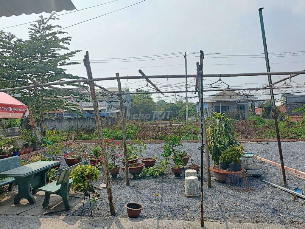 Đất 9x14 có 80m2 đất ở 3/ ngắn Nguyễn Thị Ngâu khu dân cư hiện hữu