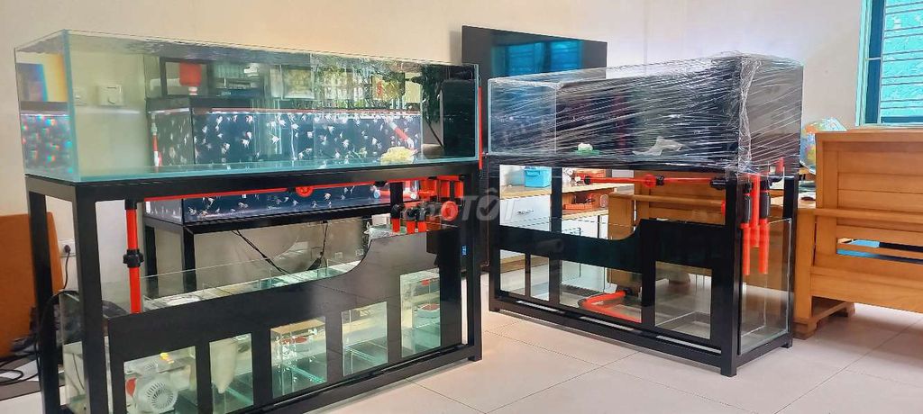 Bể cá 120x50x35 cm Kính 12 ly. Mua bán Phụ kiện, Thức ăn, Dịch vụ tại Quận Hà Đông Hà Nội được đăng bởi Xanh Aquarium Cá cảnh  thủy sinh hình 1