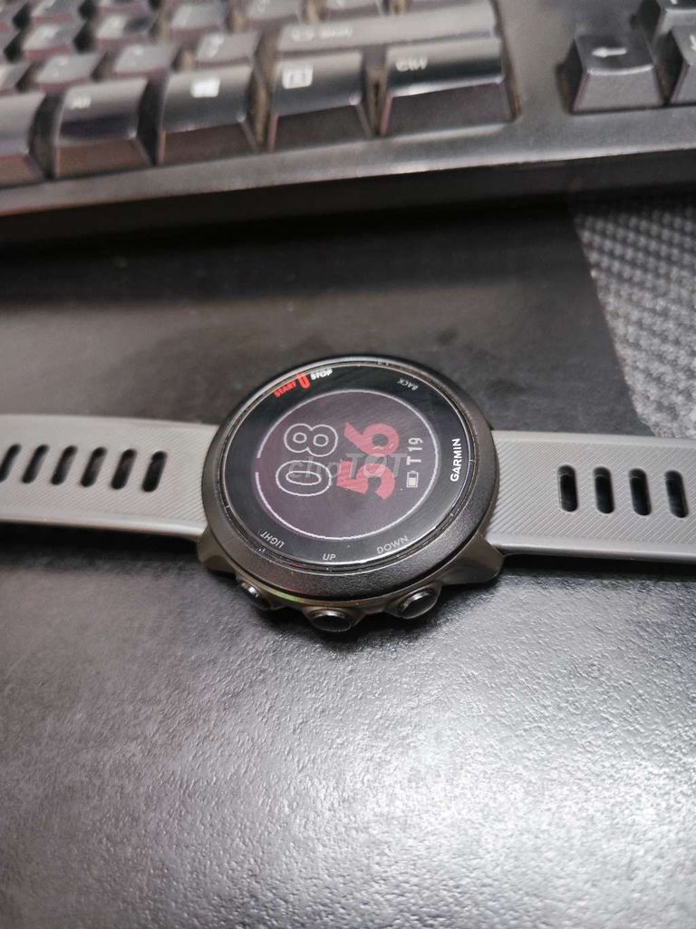 Garmin forruner 55