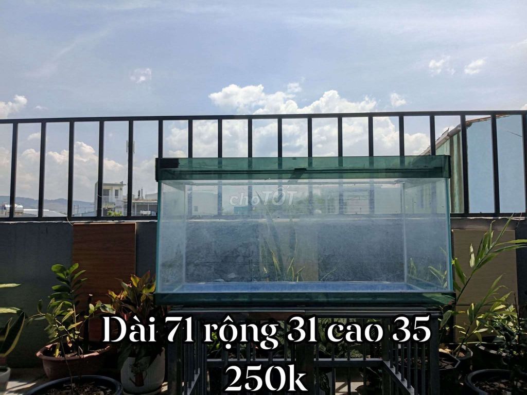 30 bể cá thanh lý. Mua bán Phụ kiện, Thức ăn, Dịch vụ tại Quận Thanh Khê Đà Nẵng được đăng bởi Anh Duy Lê hình 1