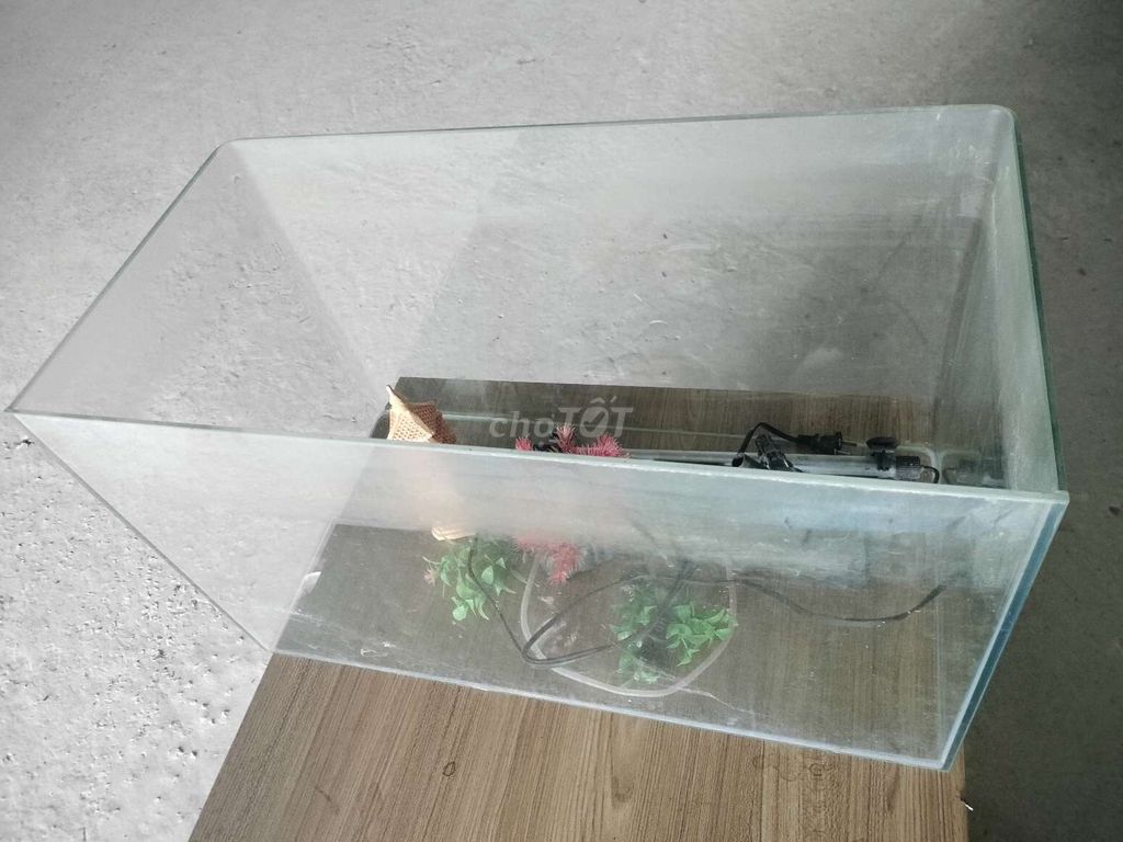 Hồ cá cảnh Kính 50x35x40cm. Mua bán Phụ kiện, Thức ăn, Dịch vụ tại Huyện Mang Thít Vĩnh Long được đăng bởi TRẦN HOÀNG NAM hình 1
