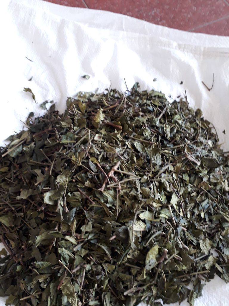 Máy sấy trà Kim loại ướp hương. Mua bán Đồ chuyên dụng, Giống nuôi trồng tại Quận Tân Phú Tp Hồ Chí Minh được đăng bởi A Long hình 1