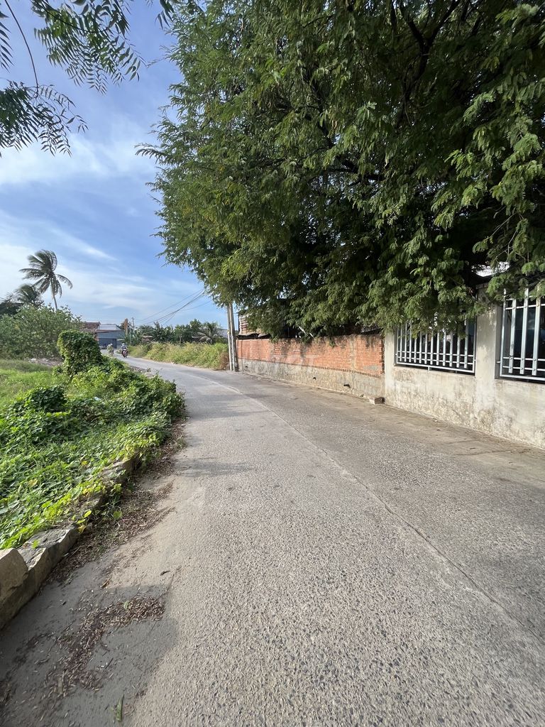 Bán Đất Nông Nghiệp 1284m2 HxH đường Nguyễn Viết Xuân -Bình Quý NPhuoc. Mua bán Đất tại Huyện Ninh Phước Ninh Thuận được đăng bởi Minhland68 hình 12