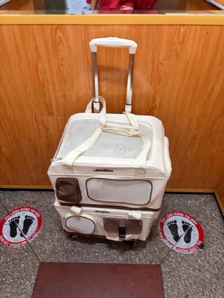 2 Túi / Giỏ / Lồng vận chuyển Mèo, bằng Vải,  GỌN. Mua bán Phụ kiện, Thức ăn, Dịch vụ tại Quận 4 Tp Hồ Chí Minh được đăng bởi Chung hình 1