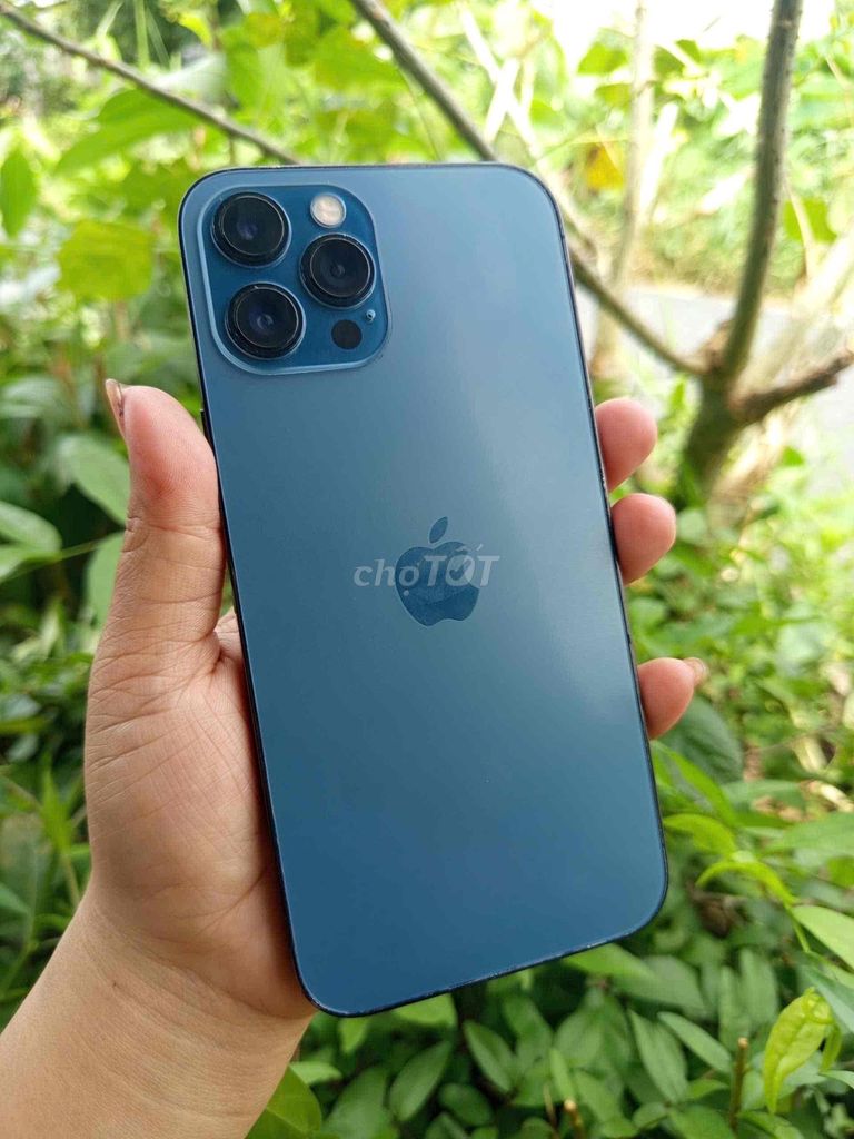 Apple iPhone 12 Pro Max 128GB. Mua bán Điện thoại tại Thành phố Cà Mau Cà Mau được đăng bởi Nguyễn An hình 1