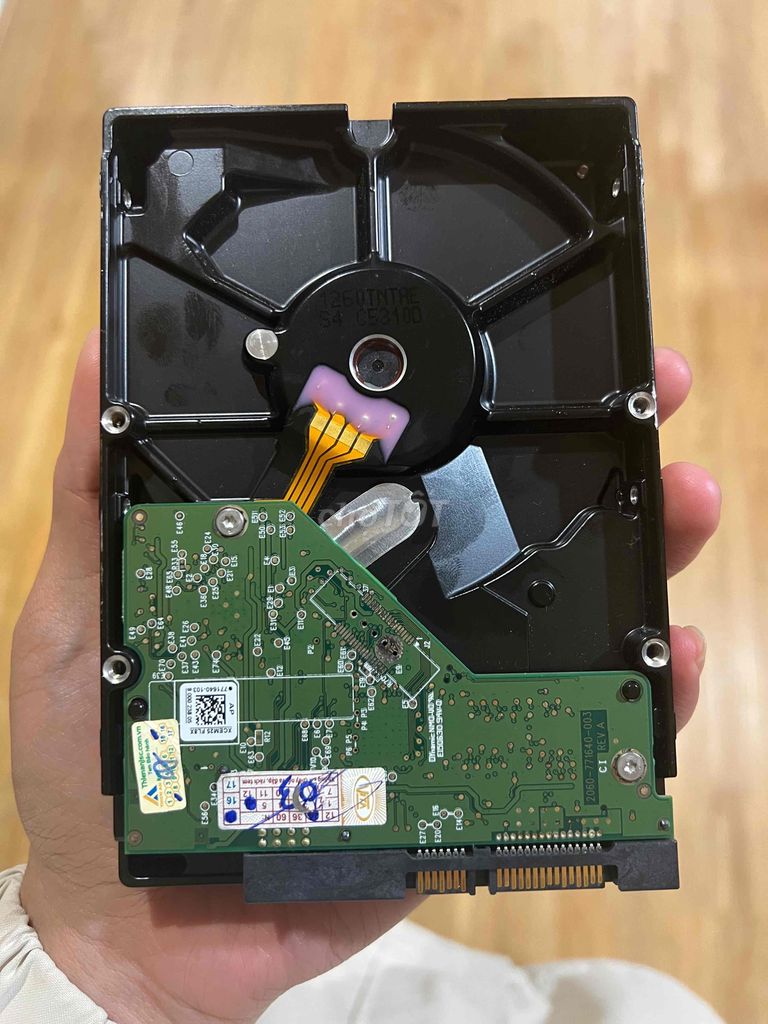 Có 1 HDD 500G không sử dụng