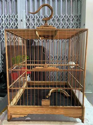 lồng vuông tre chim chào mào. Mua bán Phụ kiện, Thức ăn, Dịch vụ tại Quận 6 Tp Hồ Chí Minh được đăng bởi Tuấn Kiệt