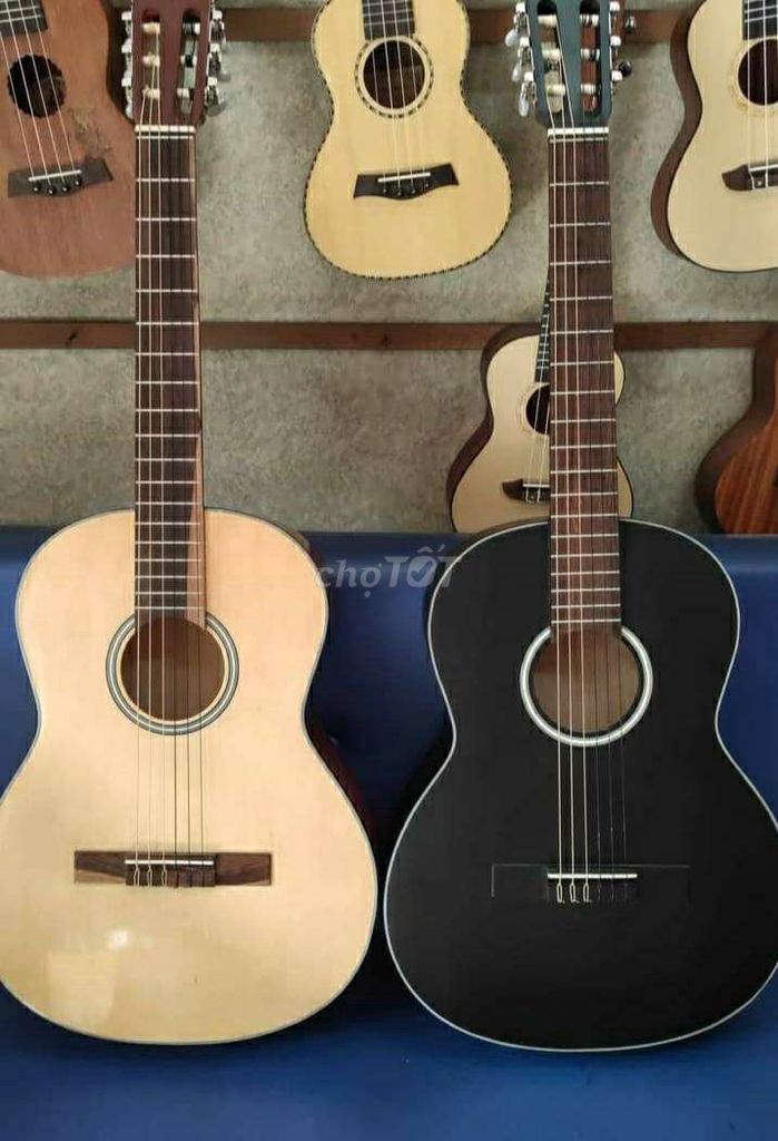 Đàn guitar classic msp:3675