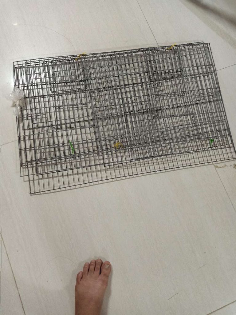 Lồng nuôi Kim loại 80x50 Chưa sử dụng. Mua bán Phụ kiện, Thức ăn, Dịch vụ tại Quận 8 Tp Hồ Chí Minh được đăng bởi sơn trần hình 1
