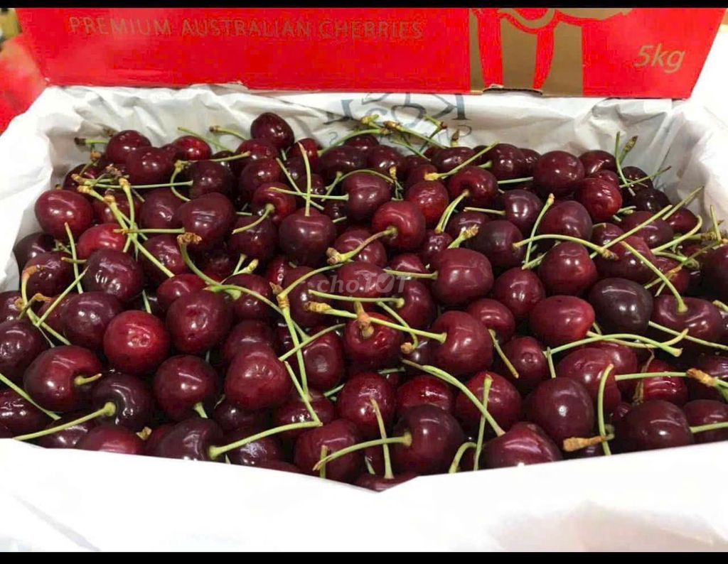 CHERRY NHẬP KHẨU CHILE- 1 ký