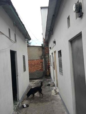 Nhà trọ bình dân 18 m2. Cho thuê phòng trọ tại Thành phố Long Xuyên An Giang được đăng bởi Giau