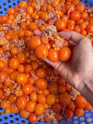 Trứng gà non 100k/ ký bao tươi. Mua bán Đồ ăn, thực phẩm và các loại khác tại Quận Bình Tân Tp Hồ Chí Minh được đăng bởi Thanh