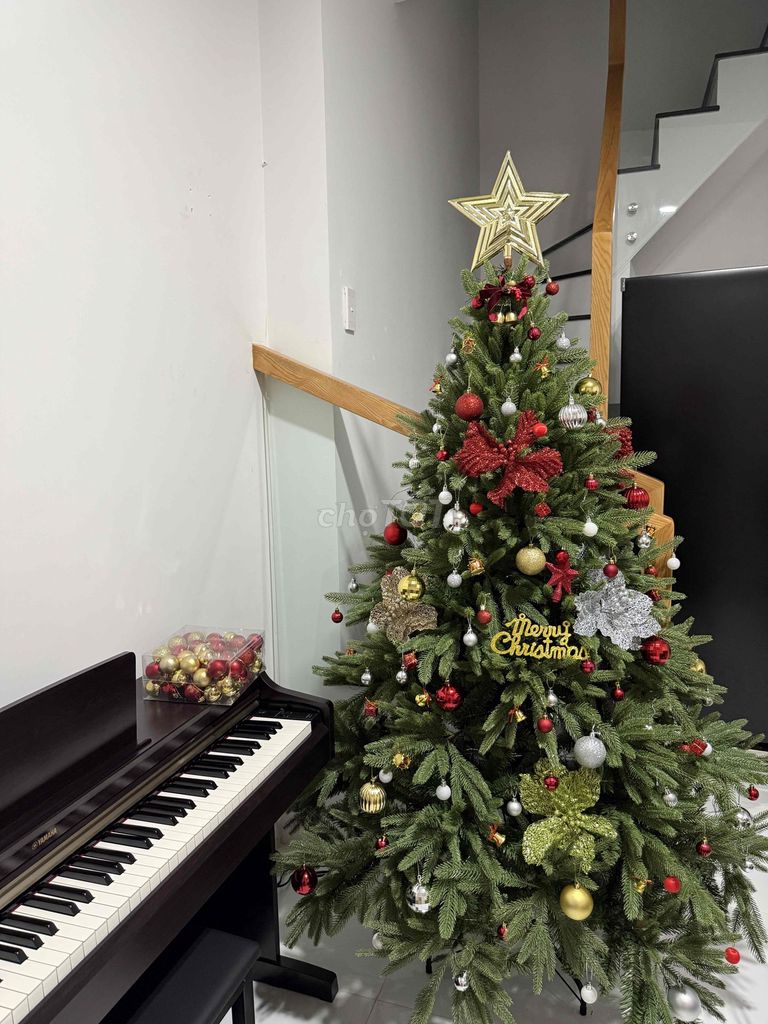 Cây thông Noel 1m8 Xanh lá Full phụ kiện. Mua bán Cây cảnh, đồ trang trí tại Quận Gò Vấp Tp Hồ Chí Minh được đăng bởi Huy hình 1