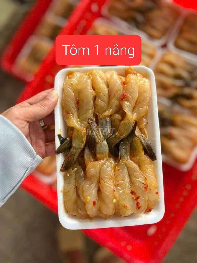 Tôm 1 nắng