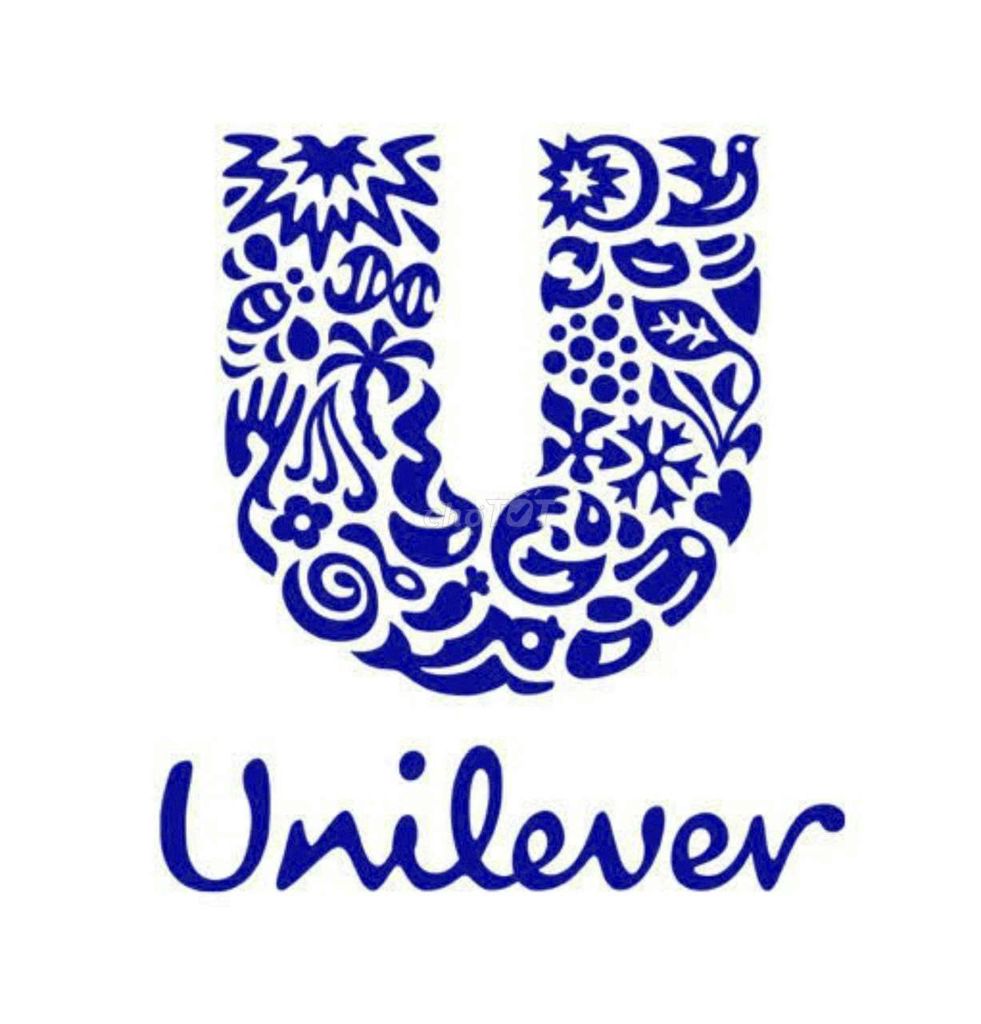 TUYỂN SALE THỊ TRƯỜNG UNILEVER KIM THÀNH HẢI DƯƠNG