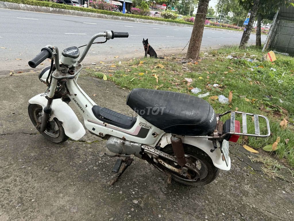 50c ko cần bằng lái. Mua bán Xe máy tại Thành phố Cà Mau Cà Mau được đăng bởi minh tri hình 2