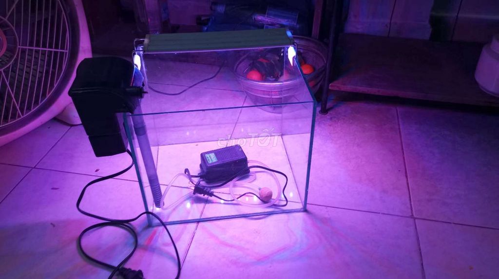 bán bể cá cho không gian nhỏ. Mua bán Thú cưng khác tại Quận Hoàng Mai Hà Nội được đăng bởi Quynh hình 1