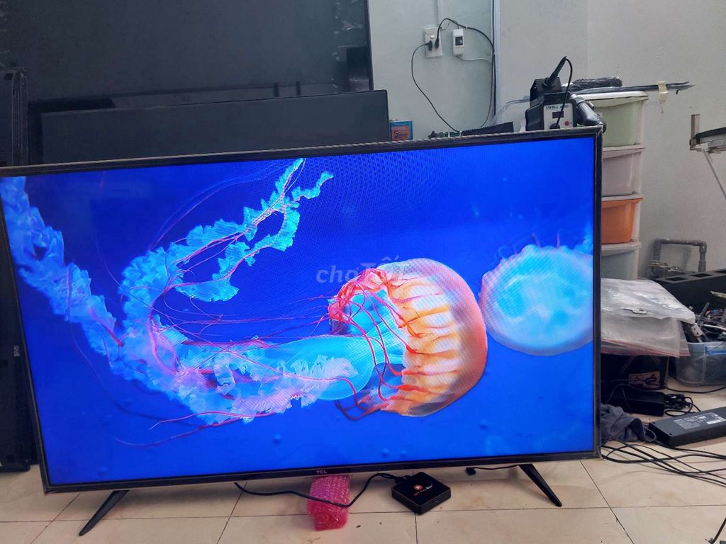 Tivi TCL 55S4900. Mua bán Tivi, Âm thanh tại Quận Bình Tân Tp Hồ Chí Minh được đăng bởi Khánh Duy hình 1