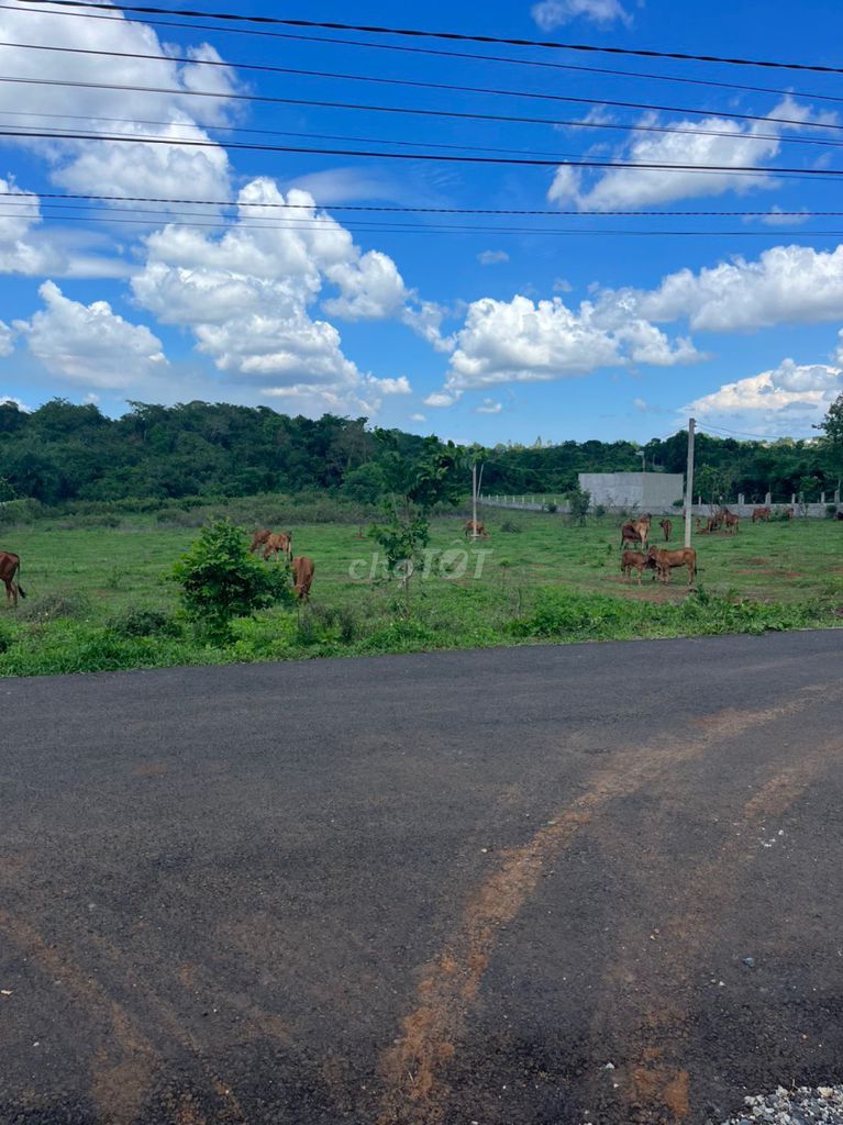 Bán Đất 12.739m2 View Suối Thị Trấn Ngãi Giao, Xã Bàu Chinh, Châu Đức