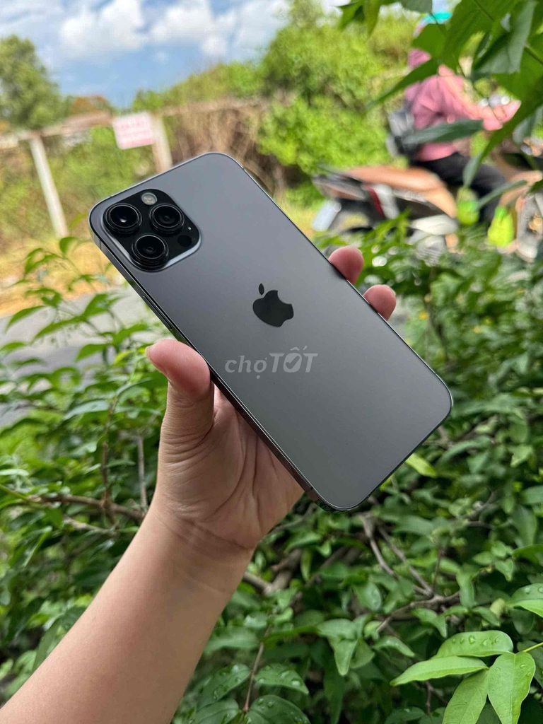 12 Pro Max 256GB Quốc Tế Full. Mua bán Điện thoại tại Thành phố Cà Mau Cà Mau được đăng bởi Nguyễn An hình 1