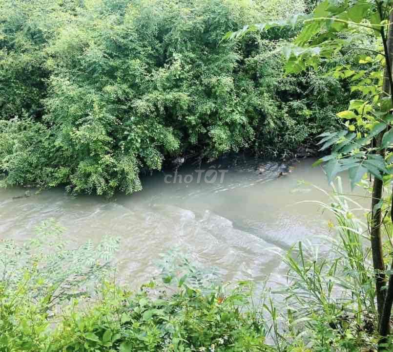Cần bán gấp vườn suối có 200 thổ cư tại Bình Lộc , Long Khánh