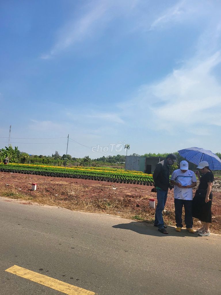 Bảng Giá Tổng Hợp Đất Nền Thị Trấn Phước Hải Giá Rẻ Tháng 5 Năm 2025. Mua bán Đất tại Huyện Đất Đỏ Bà Rịa - Vũng Tàu được đăng bởi TRẦN HỮU QUANG hình 12