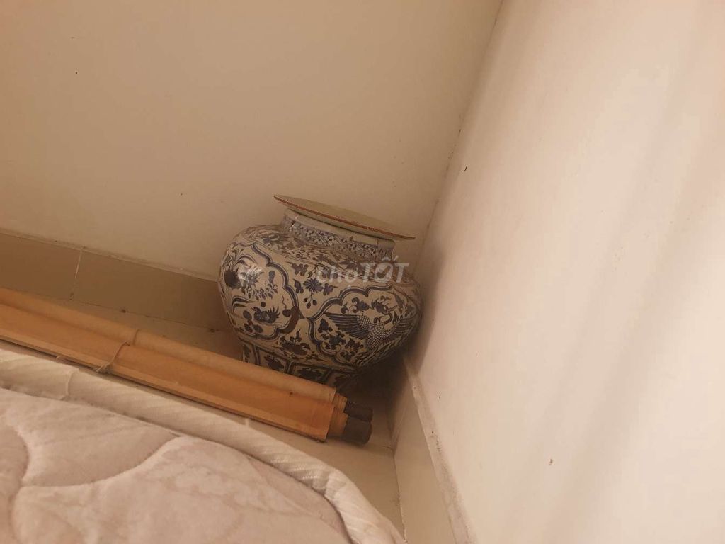 tiêu bản Ghè cổ Minh Thanh. Mua bán Đồ sưu tầm, đồ cổ tại Huyện Bình Chánh Tp Hồ Chí Minh được đăng bởi Px hình 1