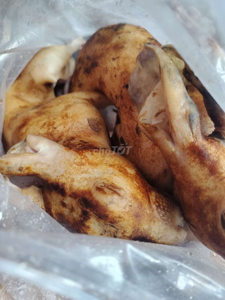 Thịt thỏ đã làm sạch. Mua bán Đồ ăn, thực phẩm và các loại khác tại Thành phố Huế Thừa Thiên Huế được đăng bởi anh hình 1