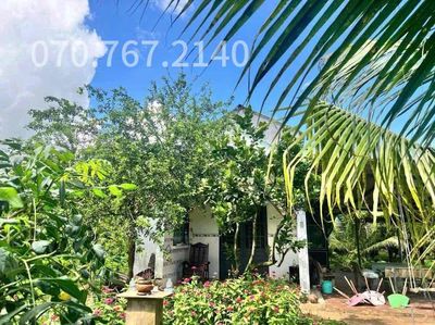 CHỦ KẸT TIỀN CẦN BÁN GẤP NHÀ VƯỜN