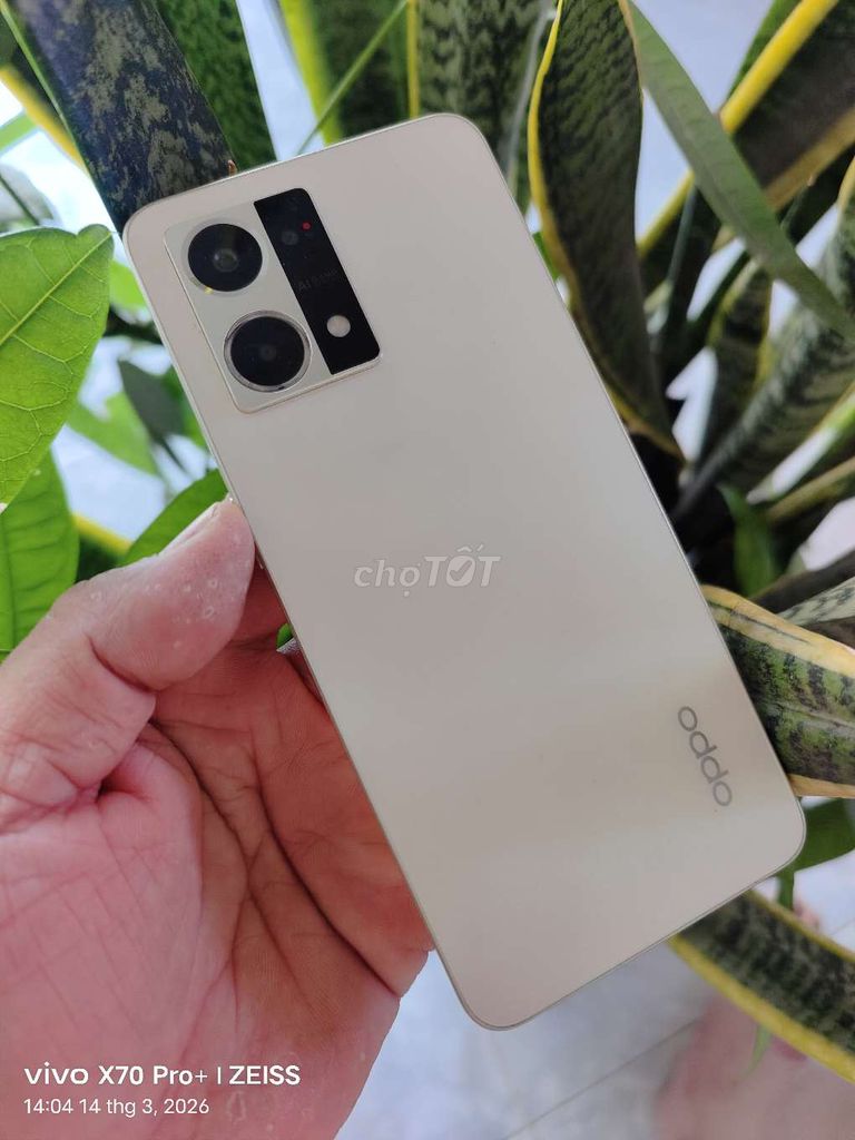 OPPO Reno8 256GB Vàng. Mua bán Điện thoại tại Thành phố Biên Hòa Đồng Nai được đăng bởi Tùng phát  hình 1