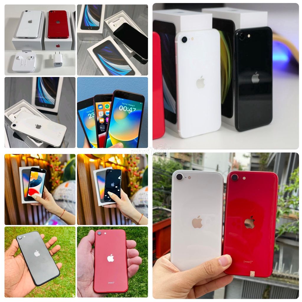 iphone SE 2022/2020 QT 256G/128G/64G Có BH/Có ship. Mua bán Điện thoại tại Quận 10 Tp Hồ Chí Minh được đăng bởi MÁY ZIN CHUẨN GIAO TẬN NHÀ hình 1