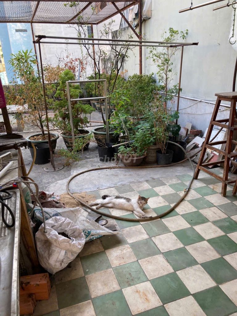 BÁN NHÀ 2 HẺM 2M THÁI PHIÊN, P.2, Q.11, 5.9 TỶ.