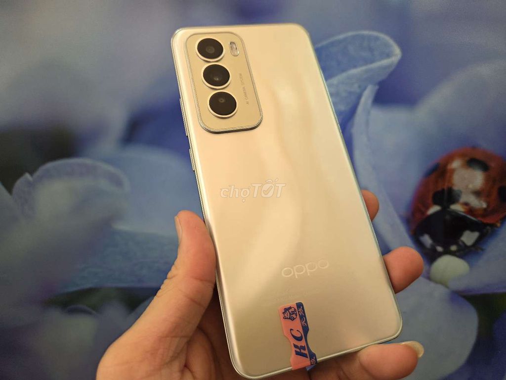 Oppo Reno12 5G Vàng 256GB 12GB Full đẹp. Mua bán Điện thoại tại Quận 5 Tp Hồ Chí Minh được đăng bởi Androidgiare hình 1