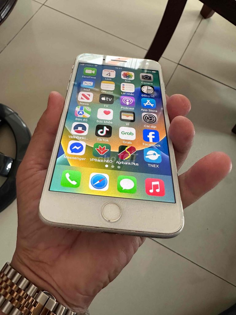 Apple iPhone 8 Plus 64GB Trắng. Mua bán Điện thoại tại Quận Cái Răng Cần Thơ được đăng bởi Nguyễn hoàng lâm hình 1