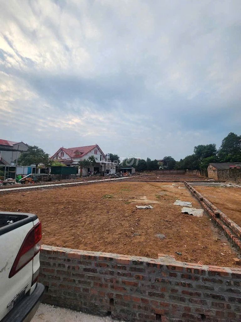 bán đất full tc tại; Thái Lai - Kim  Anh -Hà Nội (mới) - ảnh 5