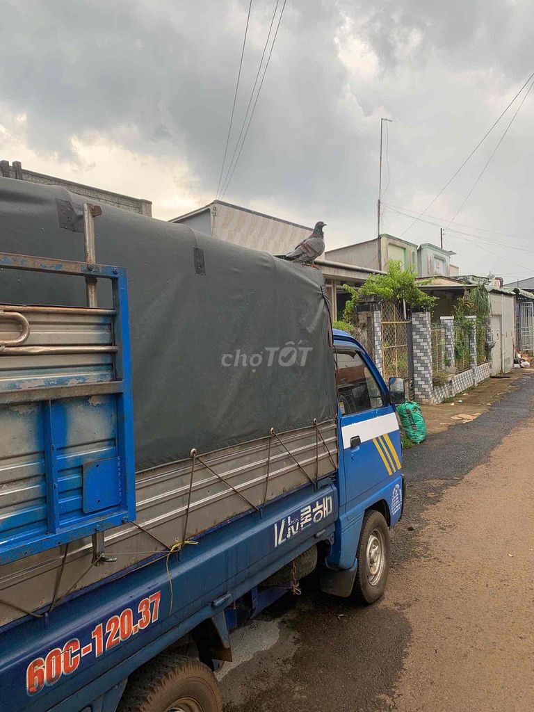 Ảnh số 6