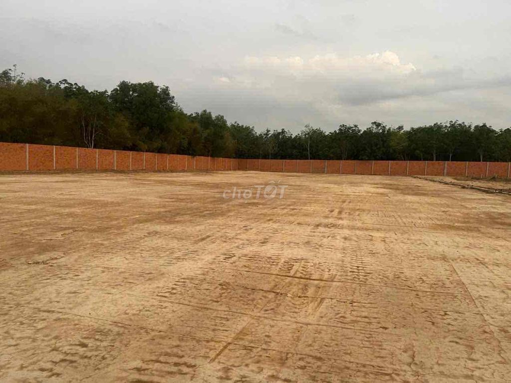 bán đất xây xưởng có sẵn skc. Mua bán Đất tại Huyện Bàu Bàng Bình Dương được đăng bởi le bao quoc hình 7