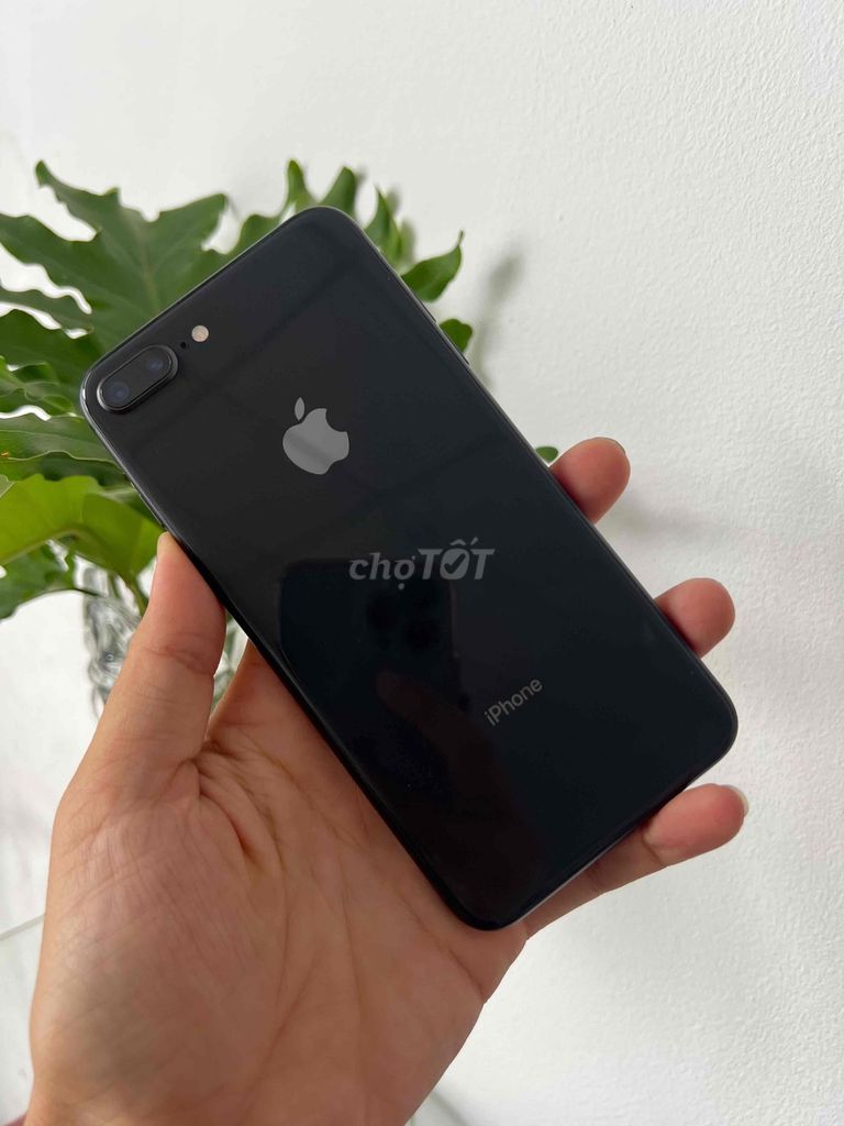 iPhone 8 Plus 64GB zin đẹp. Mua bán Điện thoại tại Quận Ninh Kiều Cần Thơ được đăng bởi CẦM ĐỒ LT hình 1