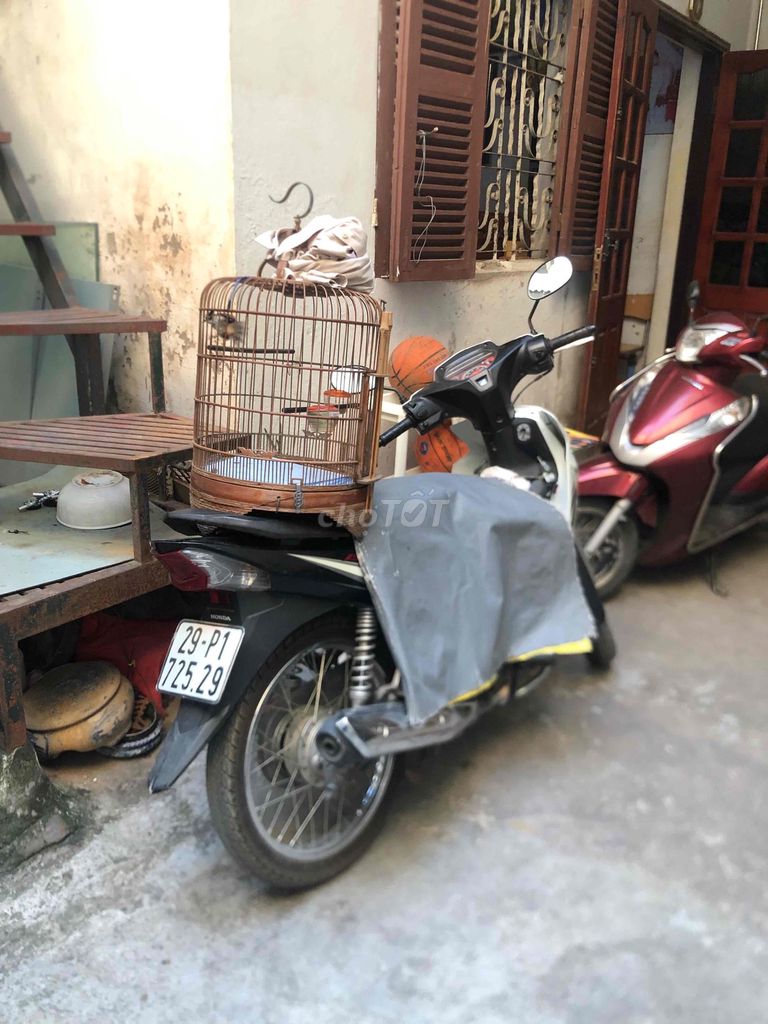 Chim chào mào má trắng mới bẫy. Mua bán Chim tại Quận Cầu Giấy Hà Nội được đăng bởi Đỗ Ngọc hình 1