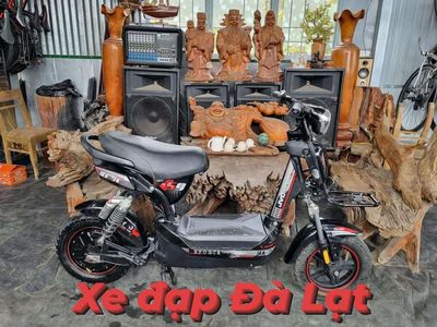 Xe đạp điện,xe điện cần bán.. Mua bán Xe điện tại Thành phố Đà Lạt Lâm Đồng được đăng bởi quang le