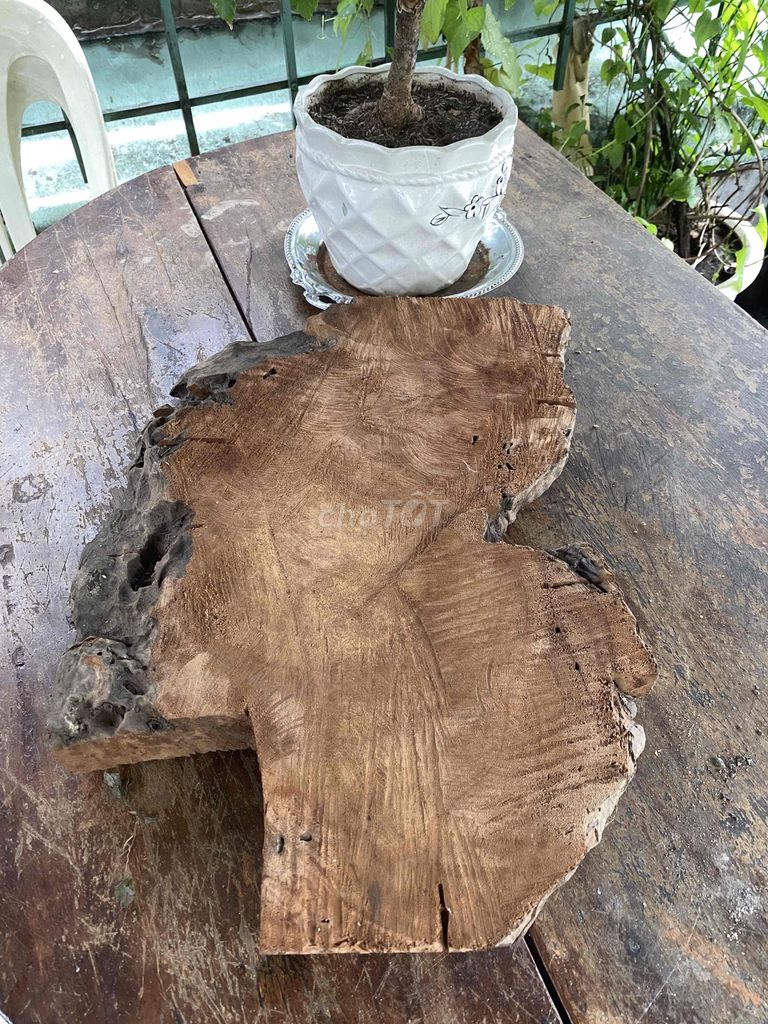 Gỗ decor Gỗ tự nhiên Mùi thơm