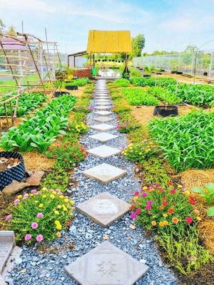 chỉ 1.4 tỷ sở hữu nhà vườn 1000m² đất view kênh