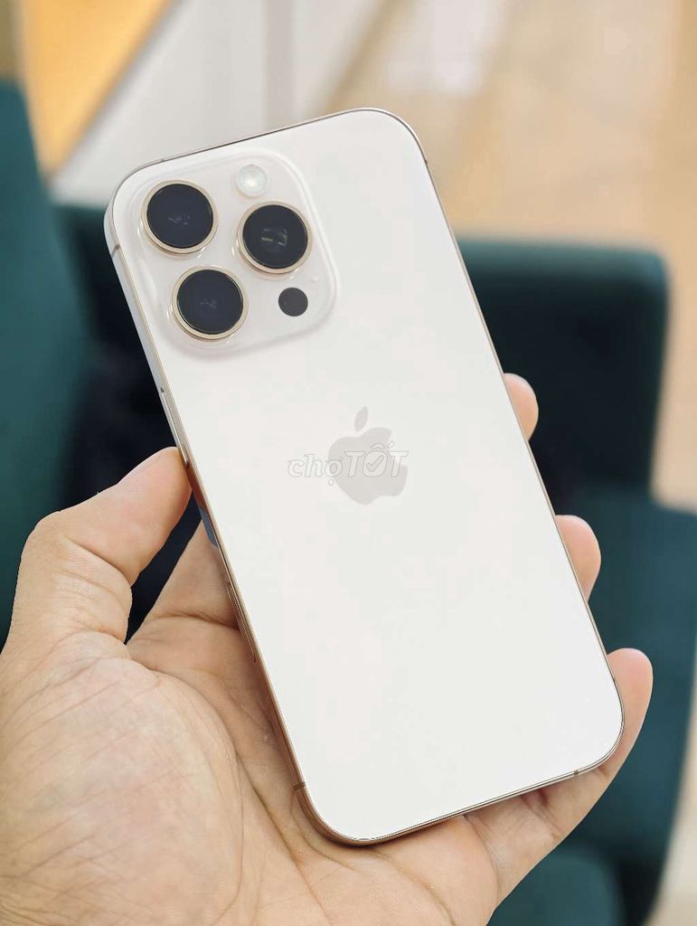 🍎IPHONE 16PRO 128GB GOLD ĐẸP NGUYÊN BẢN 98,5% P91. Mua bán Điện thoại tại Quận Hải An Hải Phòng được đăng bởi 98 Ngô Gia Tự Hoàng Dũng Mobile Ngã 3 Văn Cao hình 1
