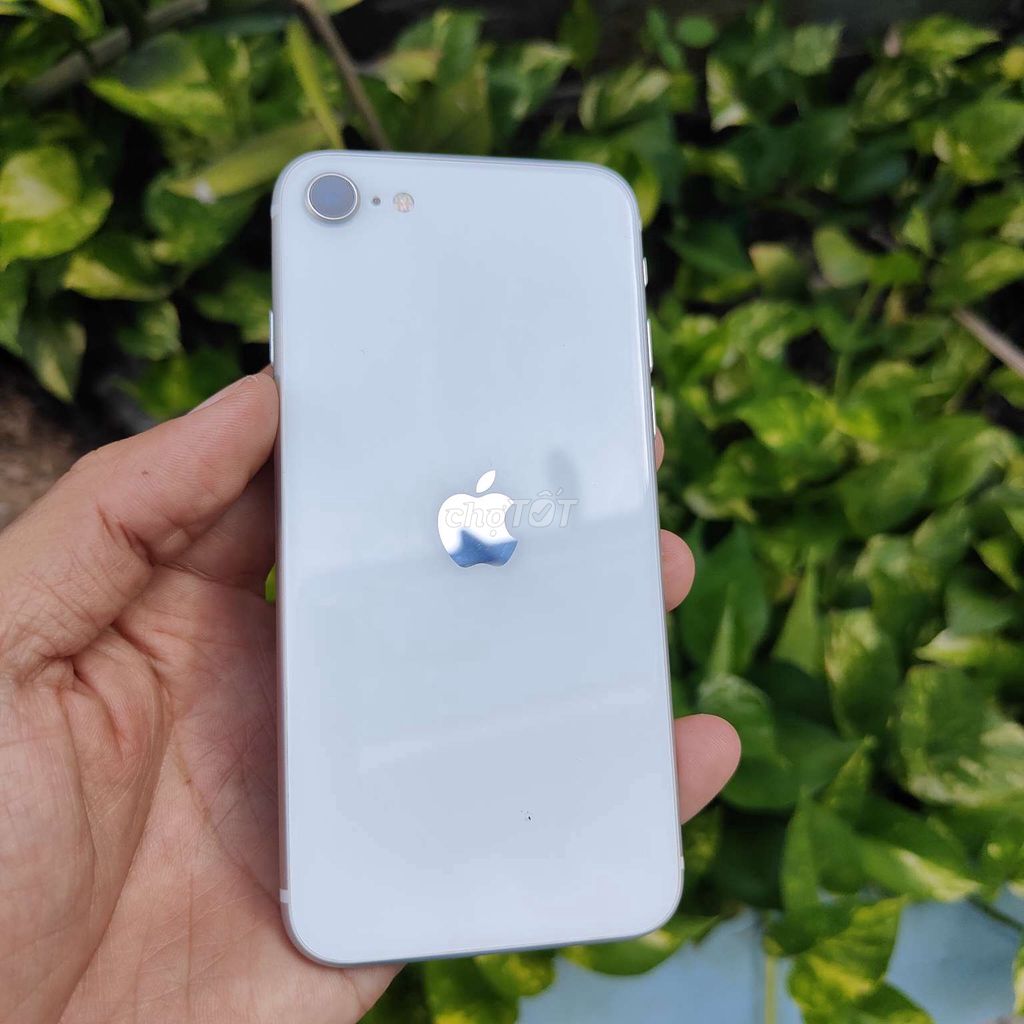 Apple iPhone SE 2020 64GB. Mua bán Điện thoại tại Quận Tân Bình Tp Hồ Chí Minh được đăng bởi Thành hình 1