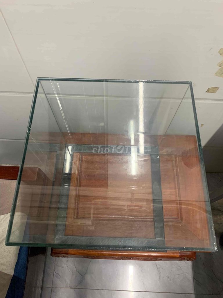 Bể cá Cubic 30  99%. Mua bán Phụ kiện, Thức ăn, Dịch vụ tại Thành phố Dĩ An Bình Dương được đăng bởi Nguyễn Văn Hoàn hình 1