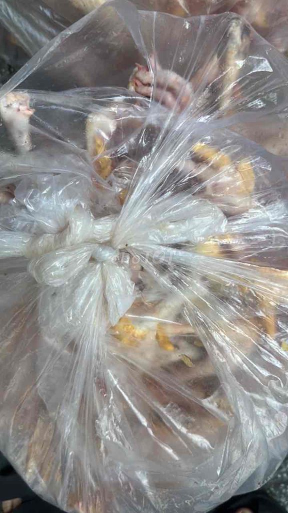 Chân gà tươi ngon thả vườn. Mua bán Đồ ăn, thực phẩm và các loại khác tại Quận 10 Tp Hồ Chí Minh được đăng bởi Nguyễn Phú khiêm hình 1