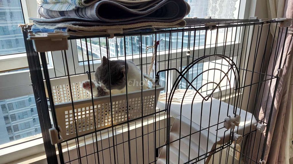 Chuồng mèo Kim loại Đen trắng 3 tầng cao cấp,. Mua bán Phụ kiện, Thức ăn, Dịch vụ tại Quận 1 Tp Hồ Chí Minh được đăng bởi Cẩm Trang  hình 1